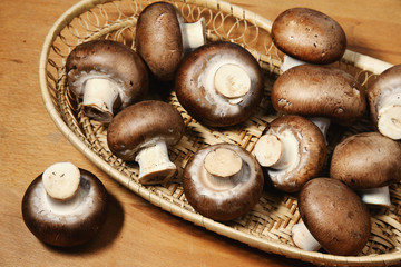 Royal champignons