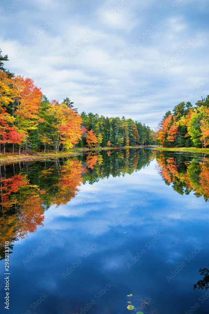 Wall mural Fall foliage colors reflected in still lake water on a beautiful autumn day in New England