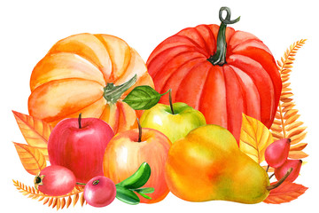 autumn harvest, watercolor illustration, vegetables and fruits on an isolated white background