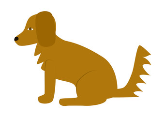 Sitting brown dog with a raised tail. Beautiful dog. Illustrations. Vector.