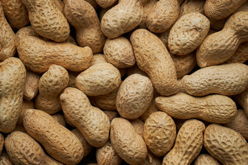 peanut in a shell texture. food background of peanuts. macro shot