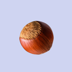 Hazelnut. Hazelnuts isolated on colored background.  Hazelnut macro