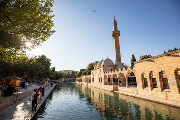 Balikligol, Sanliurfa / Turkey. Balikligol Mosque ( Fish Lake )