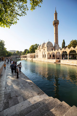 Balikligol, Sanliurfa / Turkey. Balikligol Mosque ( Fish Lake )