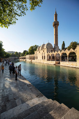 Obraz premium Balikligol, Sanliurfa / Turkey. Balikligol Mosque ( Fish Lake )