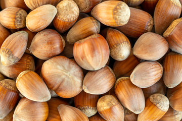 Close up of brown whole hazelnuts.