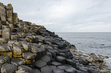 Fototapeta premium Irlanda - Giant Causeway