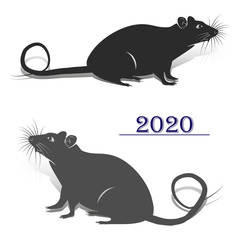 Two gray rats, silhouette for the design of the new year 2020, on a white background