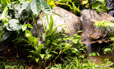 Beautiful small simulated waterfall with green and natural environment background.
