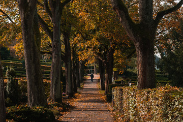Fototapeta na wymiar Autumn at the cemetery in Europe.