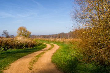 Naklejka premium Polska złota jesień w dolinie rzeki Supraśl, Podlasie, Polska