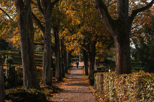 Autumn at the cemetery in Europe.