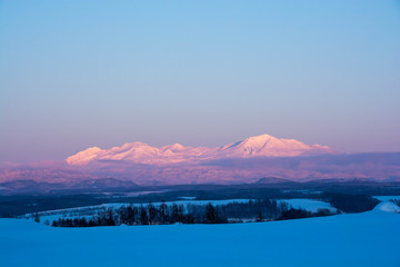 夕陽を反射する雪山　大雪山