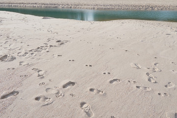 footprints on a sandy beach