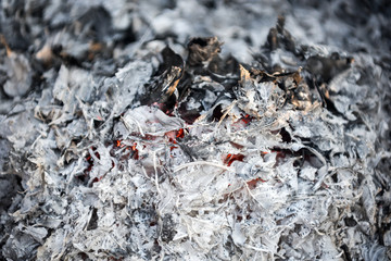 Ash texture.Burned out ashes grunge texture