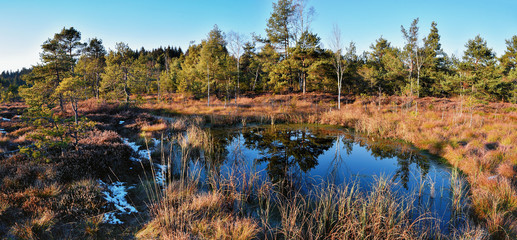 Naturlandschaft Mooshamer Moor mit Weiher, Heidekraut und Pinien
