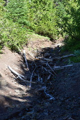 Olympic National Park, Washington