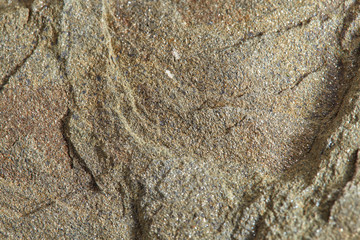 Grainy texture of greenish-beige volcanic stone. Natural backgrounds and abstract textures.