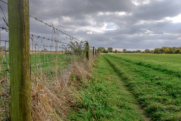 Distant view of a grassed public footpath seen adjacent to a barded-wire farm fence which has dairy cattle. The path extends to the distant, to a large nature reserve.