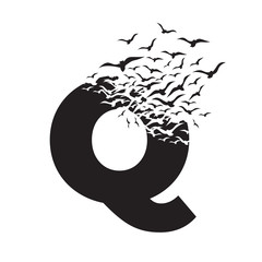 letter Q with effect of destruction. Dispersion. Birds