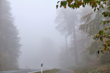 Fototapeta na wymiar Lonesome empty countryside road with delineator leading through a forest with dense fog. Seen in October in Germany in Franconia / Bavaria.