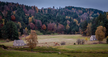 rural autumn landscape ,France.
