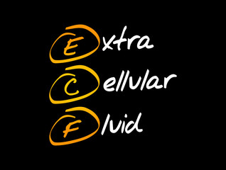 ECF - Extracellular fluid acronym, medical concept background