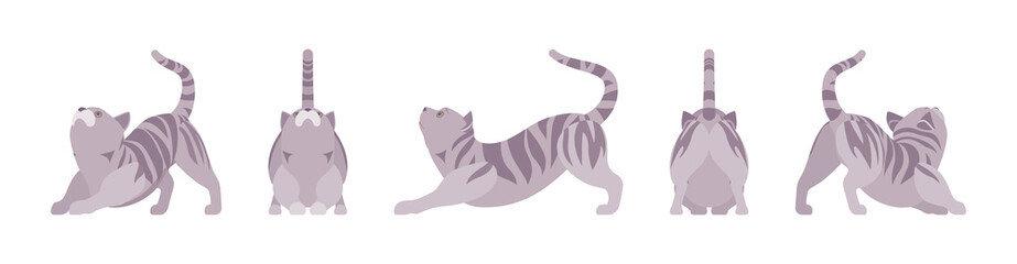 Grey striped Cat stretching. Active healthy kitten with mackerel tabby colored fur, cute funny pet, playful companion. Vector flat style cartoon illustration isolated, white background, different view