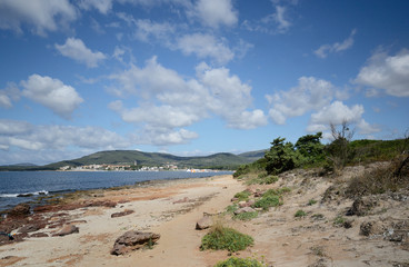 coast of the Mediterranean sea near Alghero on a summer day. Fertilità town in the background