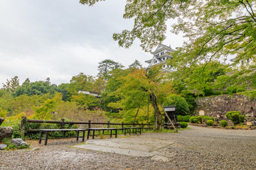 Obraz premium 郡上八幡城 岐阜県郡上市 Gujo Hachiman Castle Gifu Gujo city