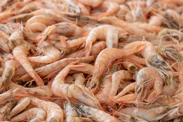 Newly fished shrimps on the countertop close up.