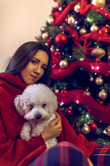 smiling  girl  embracing cute puppy near Christmas tree. Christmas holiday.