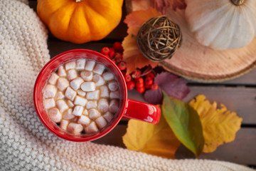 Red mug with cocoa and marshmallows. Autumn mood, warming drink. Cozy atmosphere