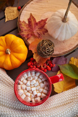 Red mug with cocoa and marshmallows. Autumn mood, warming drink. Cozy atmosphere