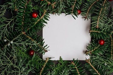 Decorative frame of fir branches and holly berries. Paper notice sheet.