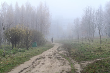Photo of autumnal nature in the fog. Cloudy weather, boring mood.