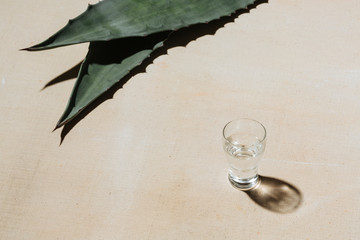 Mezcal is a mexican distilled alcoholic beverage made from any type of oven-cooked agave. 