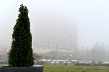 Photo of the autumn city in the fog. Cloudy weather, boring mood. Buildings and roads in the fog.