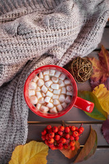 Red mug with cocoa and marshmallows. Autumn mood, warming drink. Cozy atmosphere