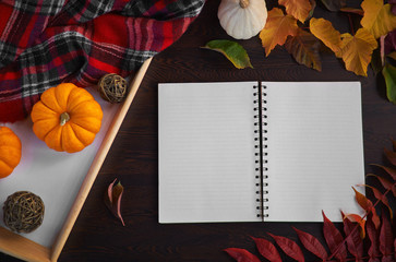 Planning to do list. Autumn mood composition on a wooden table with pumpkins, rowan and leaves. Open notepad with pen on grey wooden background