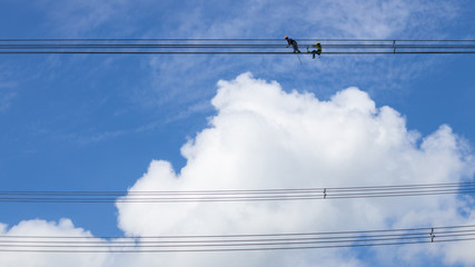 Fototapeta premium Electrician work installation of high voltage cable in high voltage safely and systematically over and blue sky background.