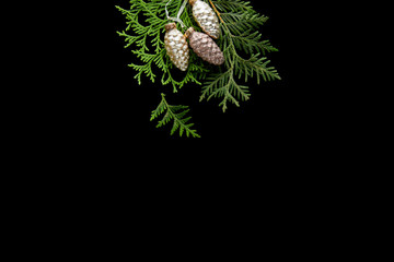 top view of shiny golden Christmas cones on green thuja branches isolated on black