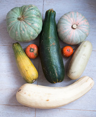 pumpkins and squash