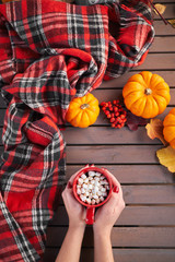 Young european girl with red manicure on nails holds in hands red cup of cocoa with marshmallows on Belted plaid background. Thanksgiving Day. Hugge. Lagom