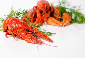 Seafood dish, Red boiled crayfish. Kind of Snacks for beer.