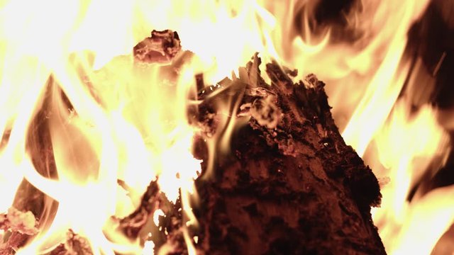 Fire burns a tree log.