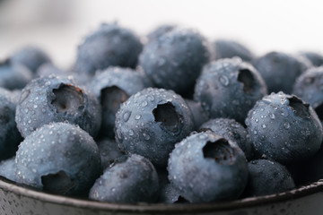 ripe juicy blueberries with dew drops, macro