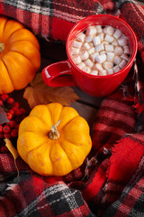 Red cup of cocoa with marshmallow, decorative pumpkin. Autumn mood, warming drink. Cozy atmosphere