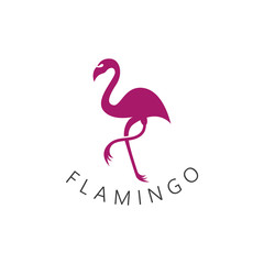 Fototapeta premium Flamingo bird logo design concept template vector