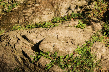 Primo piano delle rocce al fiume, sentiero delle meraviglie, Canton Ticino 